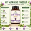Milk Thistle High Strength 10000mg | 400mg Premium Silymarin per