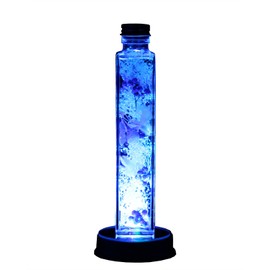 Art Four Seasons ◎ LED Herbarium Preserved Flower (Blue)