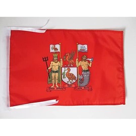 Liverpool Flag 18'' x 12'' cords - Liverpool in England SMALL flags 30 x 45cm - Banner 18x12 in - AZ FLAG