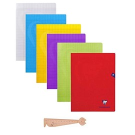 Pack de 5 Cahiers Piqués mimesys 21 x 29.7 cm 48 Pages Clairefontaine + 1 Blumie