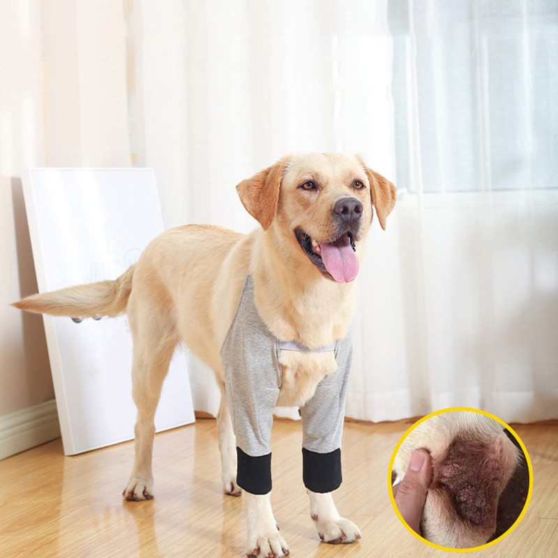 VINGVO Manga Rcovery para Perros, Almohadilla de Algodón con Correas