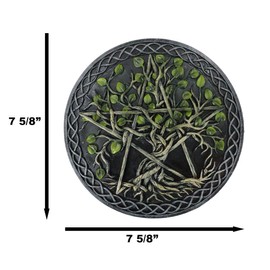 Ebros Gift Wicca Twisted Vine Branches Interwoven Tree of Life Pentagram Star Decorative Wall Plaque Hanging Sculpture Round Medallion Decor