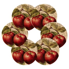 Nander Vintage Style Apples Coasters Set 6PCS,Bar Coasters or Farmhouse Cup Mat, Modern Cotton Woven Coasters for Christmas