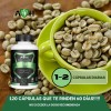 100% Puro Café Verde 120 Cápsulas. A4h Armor For Health