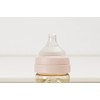 All New PPSU Baby Bottle - Premium Spectra Baby Bottle