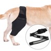 Dog Knee Brace Accelerate Recovery and Blood Circulation Dog Torn