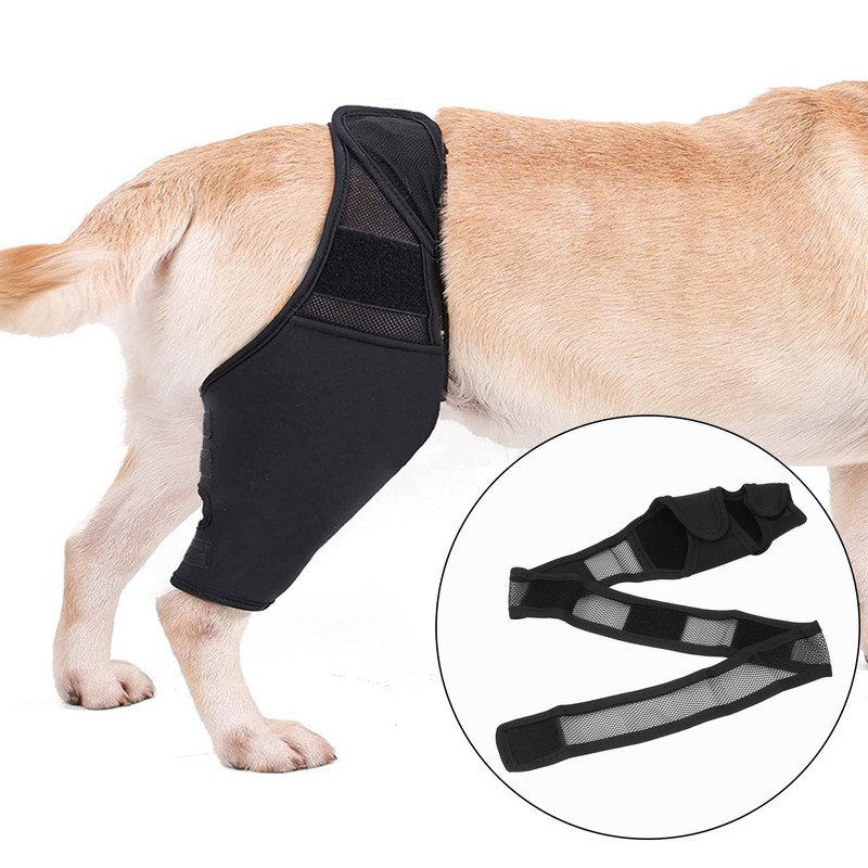 Dog Knee Brace Accelerate Recovery and Blood Circulation Dog Torn