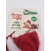 Merry & Bright Santa Reptile Costume For Bearded Dragons