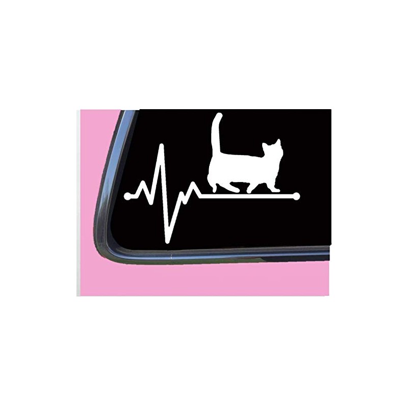 Munchkin Lifeline TP 226 vinyl 8" Decal Sticker cat rescue
