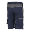 Qualitex PRO MG 245 Shorts in Various Colours - 42