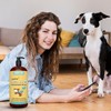 Wonder Paws Fish Oil For Dogs - Omega 3 For