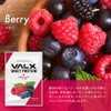 VALX バルクス ホエイ プロテイン チョコレート風味 ベリー風味 バナナ風味 杏仁豆腐風味 ロイヤルミルクティー風味 カフェオレ風味