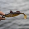 Berkley Pulse Realistic Goby Prerigged Soft Bait Shad with Jig