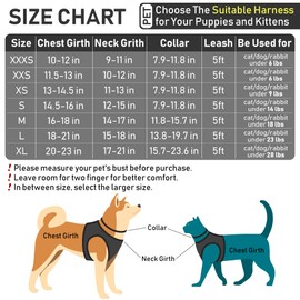 GAMUDA Small Dog Harness Collar and Leash Set, Step in No Chock No Pull Soft Mesh Adjustable Dog Vest Harnesses Plaid Reflective for Dogs Puppy Cats Kitten Rabbit (Black, S)