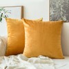MIULEE Pack of 2 Velvet Soft Decorative Square Throw Pillow