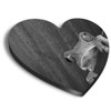 1 x Heart MDF Magnets - Frog Nature Frogs 39477