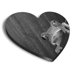 1 x Heart MDF Magnets - Frog Nature Frogs 39477