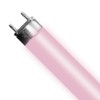 Helios 12Pack T5 Bulb 24W Aquarium Light Bulb HO for