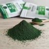 Alga Spirulina Maxima + Moringa Polvo Spiral Spring Orgánica