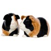 Quail Ceramics - Guinea Pig Salt And Pepper Pots -