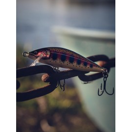 Rapala Esca di pesca esca d'élite, 1, CDE35, Gilded Rainbow Trout, 4,5cm / 3,5g