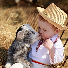 Blue Mountain Hay | Fresh Orchard Grass Hay (40 Ounce) | High Fiber, Soft & Leafy | High-Altitude Hay Pet Food for Rabbits, Guinea Pigs, Chinchillas, Hamsters, and Other Small Pets