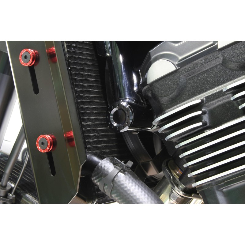 POSH FAITH Motorcycle Goods Frame Cap Front Z900RS/CAFE (18-24 Years)