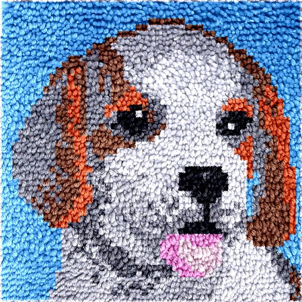 Puzamen Latch Hook Rug Kit, DIY Latch Hook Rug Making