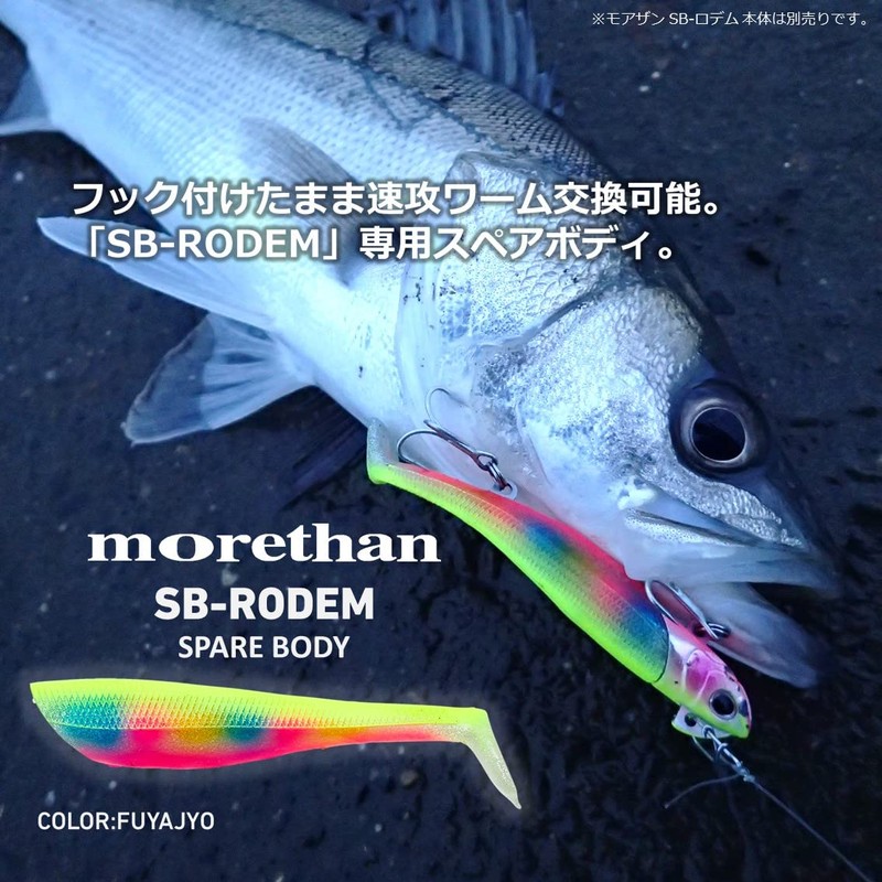 Daiwa Morethan Sea Bass Rodem Spare Body, 2.8-Inch