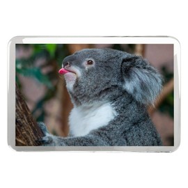 Koala Bear Classic Fridge Magnet - Australia Outback Wild Cute Animal Gift #8255