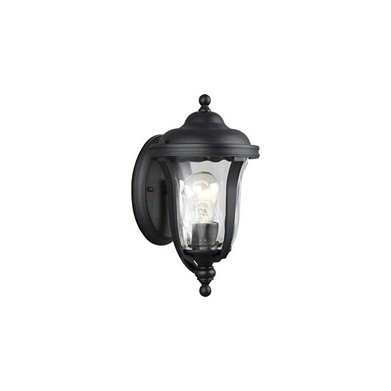 Generation Lighting 8414201EN3-12 Transitional One Light Outdoor Wall Lantern from