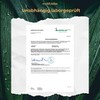 viktilabs Essential 4-Daily - Mit bioaktivem Vitamin B6 & Zink-Komplex