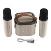 Karaoke Machine Mini Portable Wireless Bluetooth Handheld Microphone Speaker for