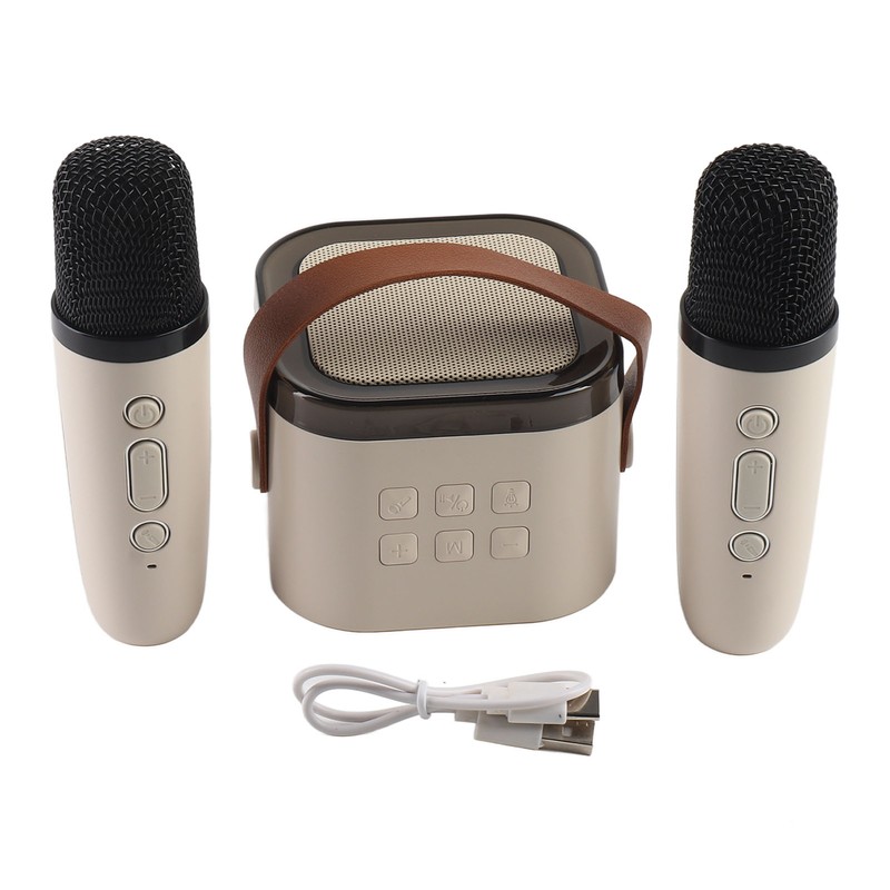 Karaoke Machine Mini Portable Wireless Bluetooth Handheld Microphone Speaker for