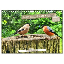 Herr und Frau Gimpel - Stammgäste im Garten (Wandkalender 2026 DIN A4 quer), CALVENDO Monatskalender