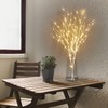 Fudios Lighted Birch Branches with Timer Battery Operated 35in 100LED,Twigs