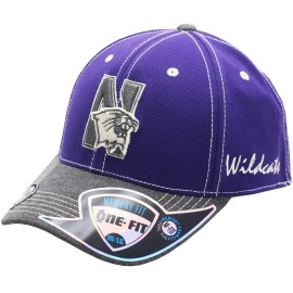 American Needle Northwestern Wildcats Flex Fit Hat High Post (M/L)