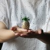 (pineapple) - YUFENG Hinged Trinket Box For Gifts Hand-painted Patterns