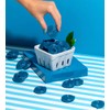 SweetGourmet Blue Raspberry Flavored Licorice Wheels | Italian Bulk Licorice