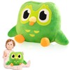 QESSUVNC Green Owl Plush Toy, Cute Animal Plush Doll, Soft
