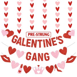 4Pcs Pre- Strung Galentine’s Gang Banner, Galentines Day Decorations for Party NO DIY Happy Galentine’s Day Banner with Love Hearts for Girl Lady Galentines Day Party Decorations