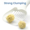 Tofu Cat Litter, Cat Litter Clumping, Flushable, Low Tracking, Dust