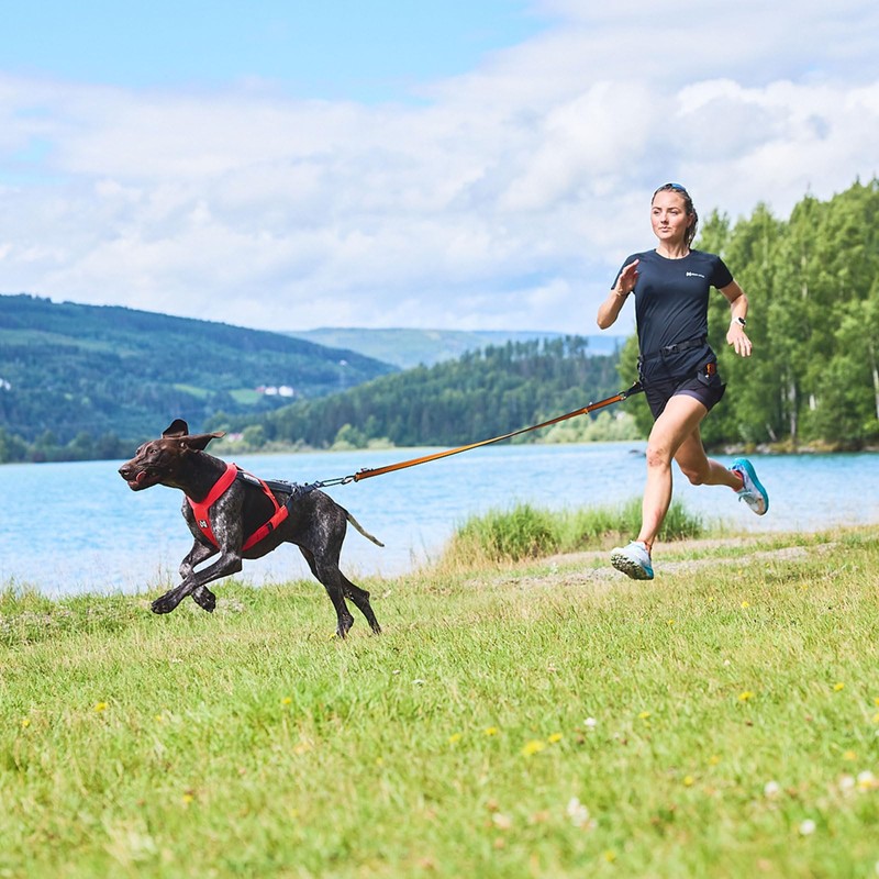 Non-stop dogwear FREEMOTION Harness 5.0 |111| Dog Harness for All