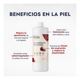 Tonico Facial Hidrolato Granada Destilado Antioxidante de Granada Piel mixta y grasa Hebbe Cosmetics & Ludika 1 L