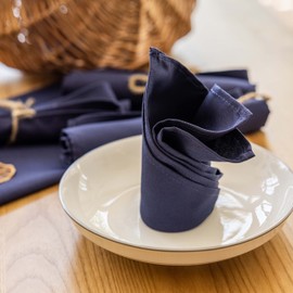 Home Brilliant Navy Blue Cloth Napkins Set of 12 100% Polyester Dinner Napkins with Hemmed Edges Washable Napkins Ideal for Parties Event Weddings and Dinners, 17x17 inch