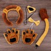 Fartoni Lion Costume Boy or Girl Lion Costumes with Tiara,