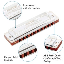 East Top 10 Holes 20 Tones 008K Diatonic Harmonica Key F with Silver Cover, Standard Harmonicas for Adults, Professional Players and Students