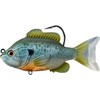 LIVE TARGET LiveTarget SFS110MS551 Sunfish -, Multicolor