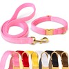 GAMUDA Collar y correa de terciopelo para perro, súper suave