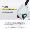 Kasco Golf Glove Natural Leather DNA SHEEP GF-2012R Right Hand